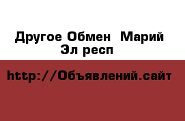 Другое Обмен. Марий Эл респ.